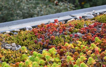 the cost of Robinsons End green roof installation