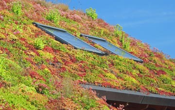 Robinsons End living roof systems