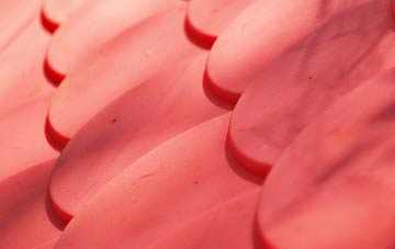 Robinsons End plastic roof costs