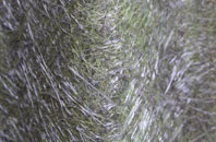 Robinsons End fibreglass roof work