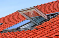 Robinsons End roof window